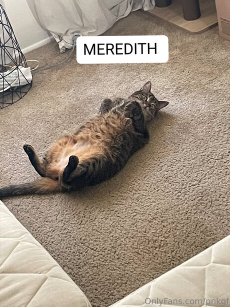 Pnkgf OnlyFans Nacktbilder