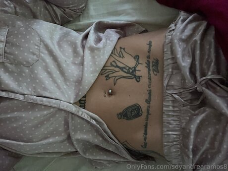 Soyandrearamos8 XXX OnlyFans
