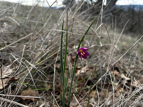 Billabongbandaid OnlyFans-Post