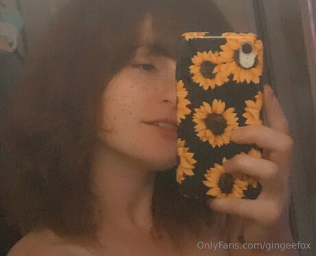 Gingeefox OnlyFans Leaks Nacktbilder