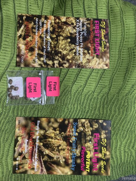 Justanakedstoner OnlyFans geleakte Pornografie