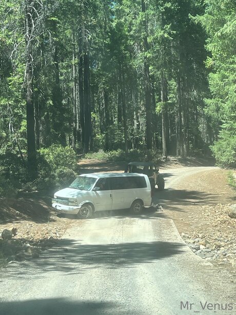 Mr Venus Nur für Fans