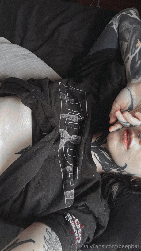 Beepbat OnlyFans-Archiv