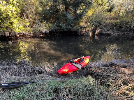 Lucasjacobs170 OnlyFans Joi