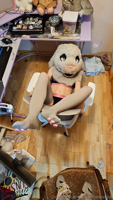 Oliverthewabbit OnlyFans Striptease