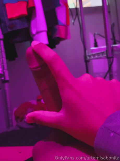 Artemisabonita OnlyFans NSFW
