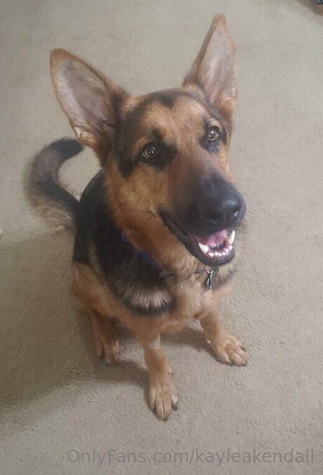 Kayleakendall Oben ohne OnlyFans