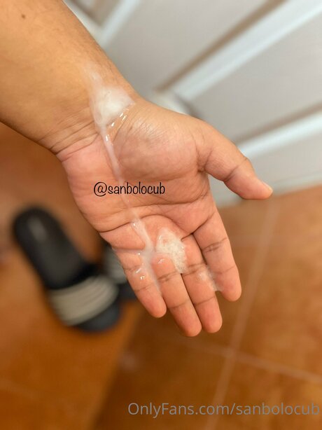 Sanbolocub OnlyFans Leak