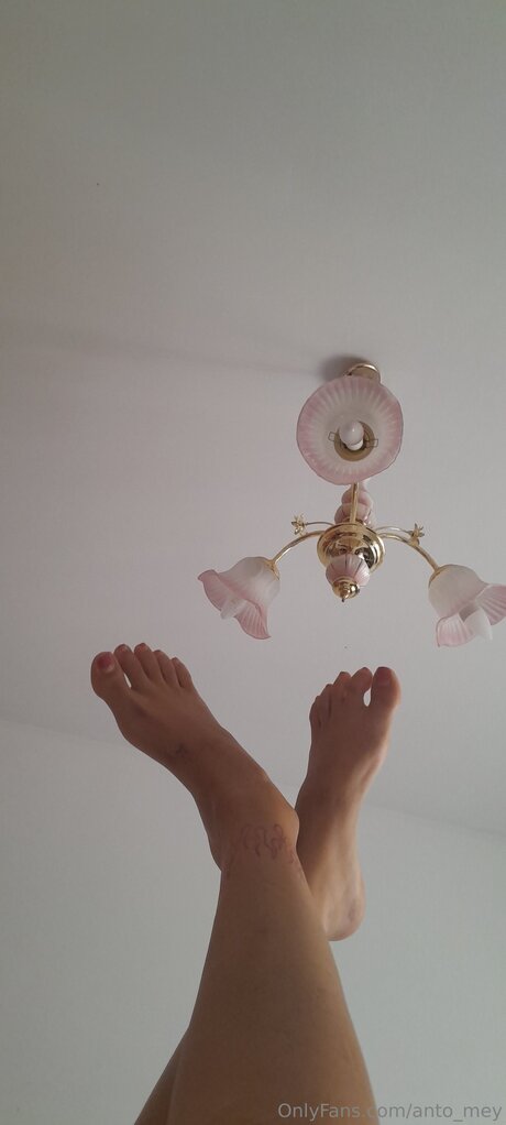 Anto Mey Titten OnlyFans