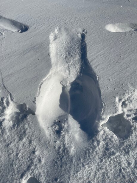 Sexiniowa Nackt auf OnlyFans