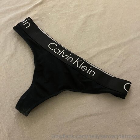 Nellysanvandatrosor OnlyFans Brüste Bild