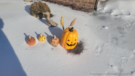 Theupsidedowngirl Nacktbilder von OnlyFans geleakt