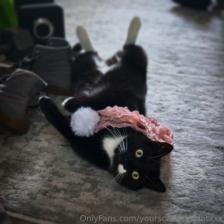 Yourscarletharlotxxx OnlyFans-Model