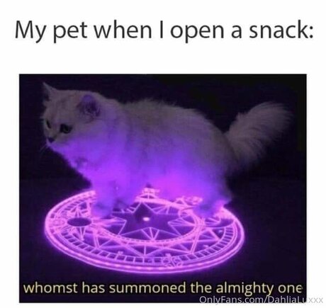 Dahlialuxxx OnlyFans Pornografie