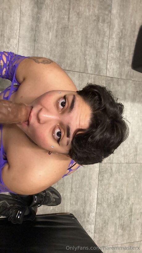 Haremmasterx Nacktbilder von OnlyFans