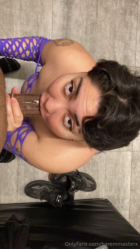 Haremmasterx OnlyFans