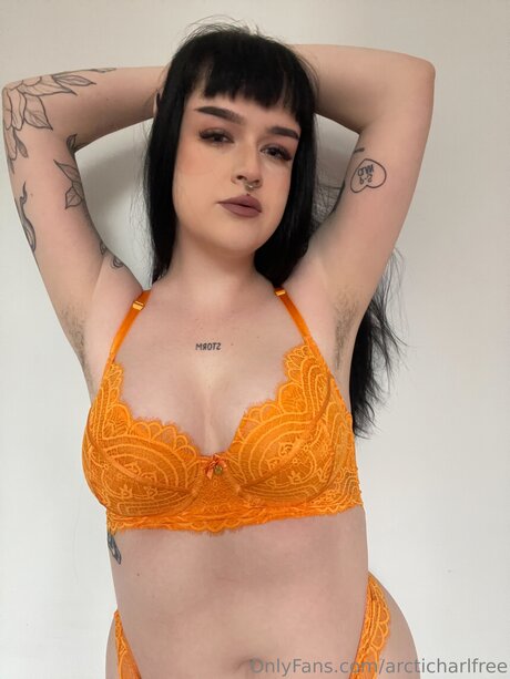 Otherarcticharl Nacktbilder OnlyFans Leak