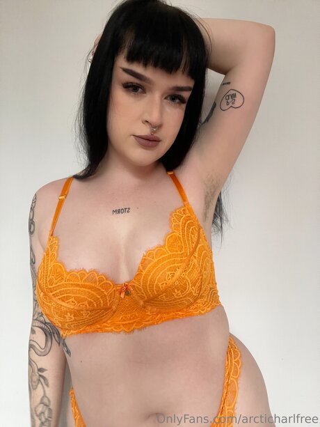 Otherarcticharl Bilder OnlyFans