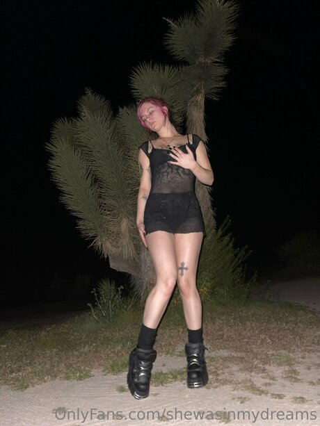 Shewasinmydreams OnlyFans Porn