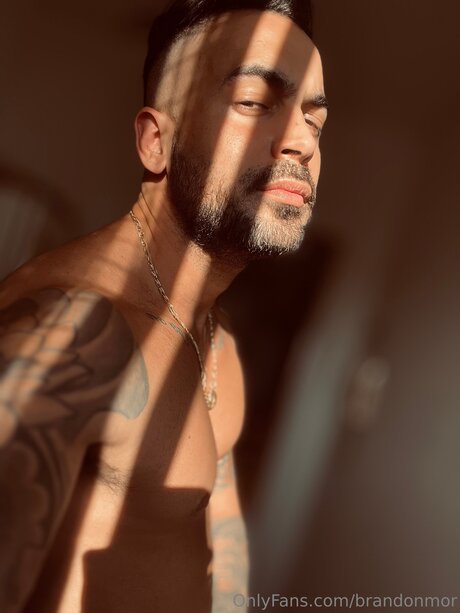 Brandonmor Joi OnlyFans