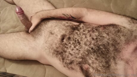 Thefurrycub Free Neue geleakte OnlyFans-Inhalte