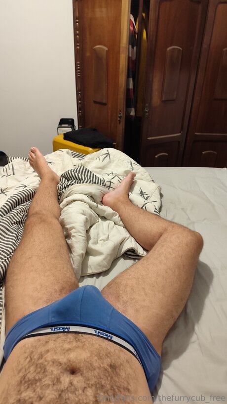 Thefurrycub Free Profilbild