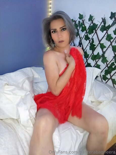 Panterabagheera OnlyFans kostenlos geleakt