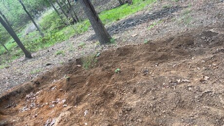 Xxgoldilocksxx Nacktbilder geleakt OnlyFans Nacktporno