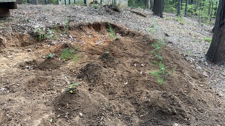 Xxgoldilocksxx OnlyFans Pornografie