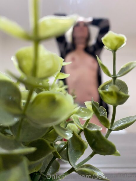 Bootyfulkitty Profilbild