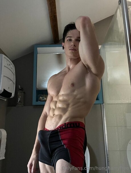 Hungharryfree OnlyFans Nacktbilder