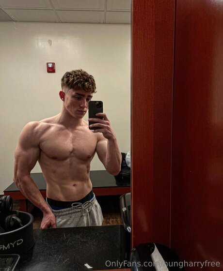 Hungharryfree OnlyFans