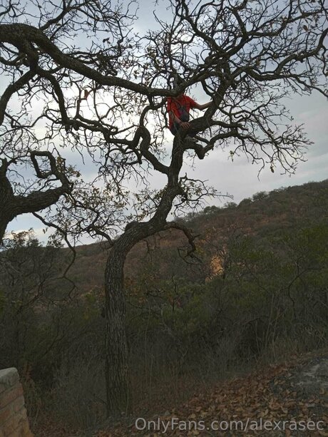 Alexrasec OnlyFans Pornografie