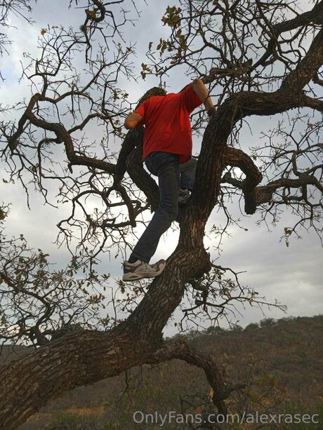 Alexrasec Profilbild