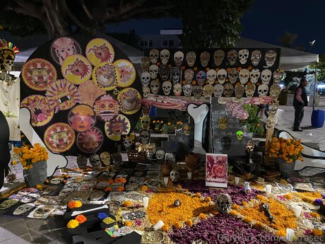 Alexrasec Leaked OnlyFans Pornografie