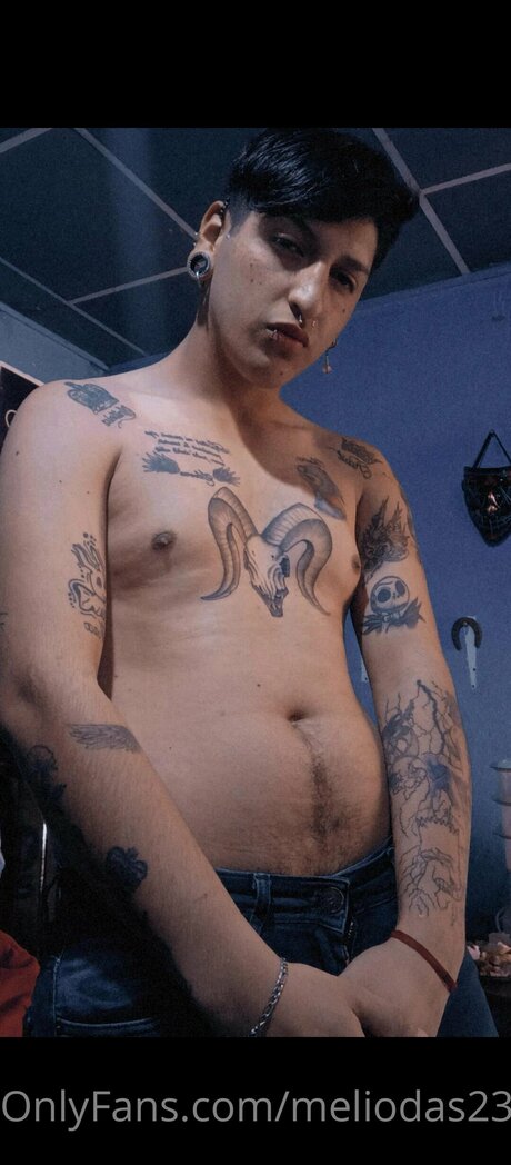 Meliodas2309 Nacktbilder von OnlyFans geleakt