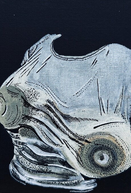 U464958276 OnlyFans Leaked