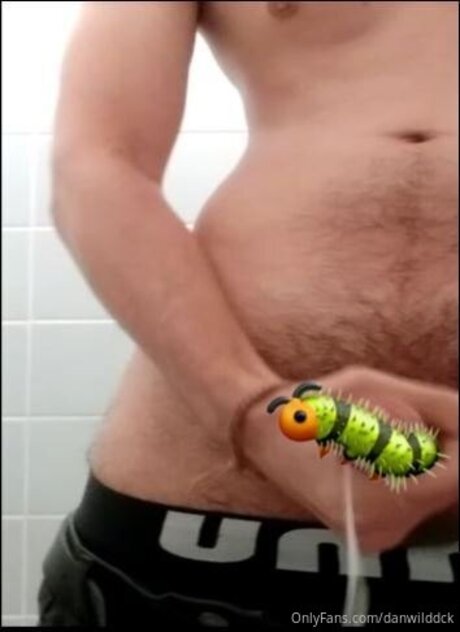 Danwilddck Joi OnlyFans