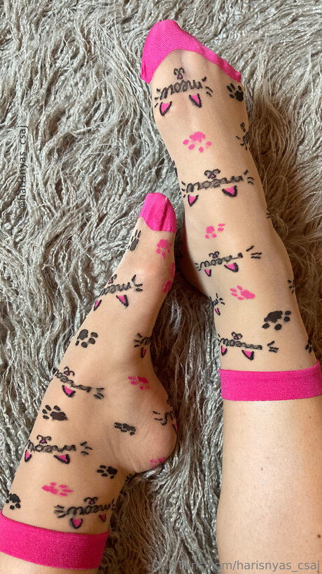 Harisnyas Csaj Leak von OnlyFans-Inhalten