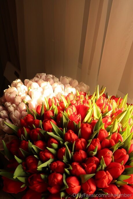 Tinaember Nacktbilder geleakt OnlyFans