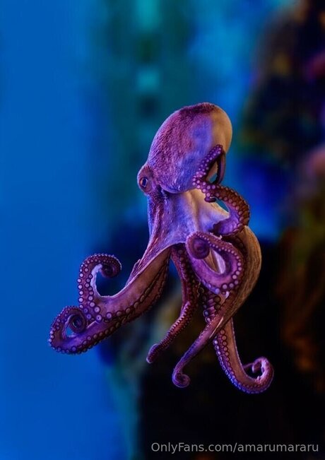 Amarumararu Leaked OnlyFans Sex