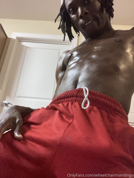 Wheelchairmandingo OnlyFans Nacktbilder