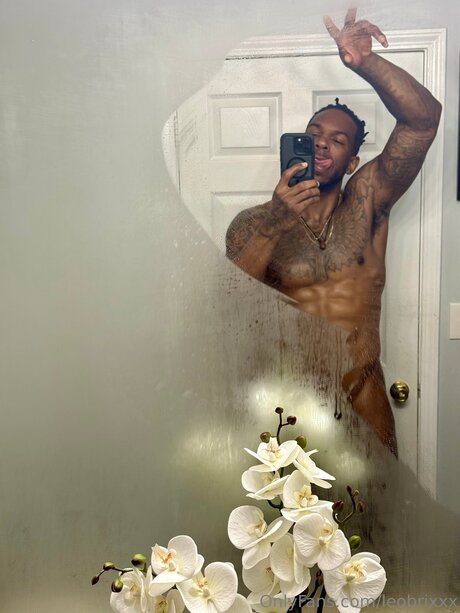 Leobrixxx OnlyFans Pornografie