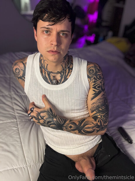 Themintsicle OnlyFans geleakter Pornografie