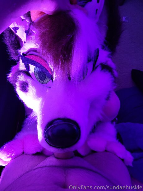 Sundaehuskie XXX OnlyFans