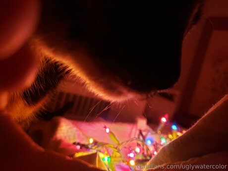 Uglywatercolor OnlyFans-Inhalte