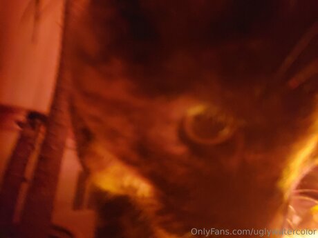 Uglywatercolor OnlyFans Leak