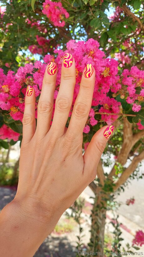 Agusvenus OnlyFans schlank