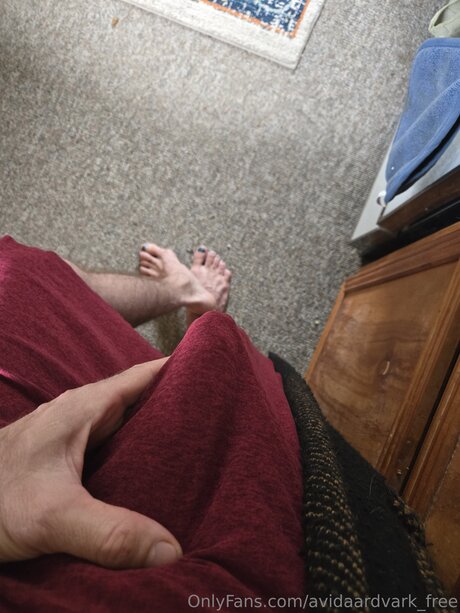 Avidaardvark Free Nackt auf OnlyFans