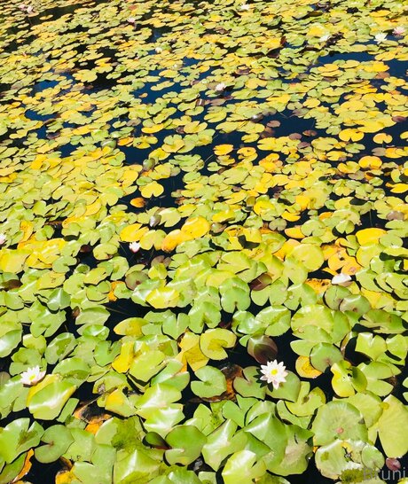 Brunabyers OnlyFans explizite Inhalte